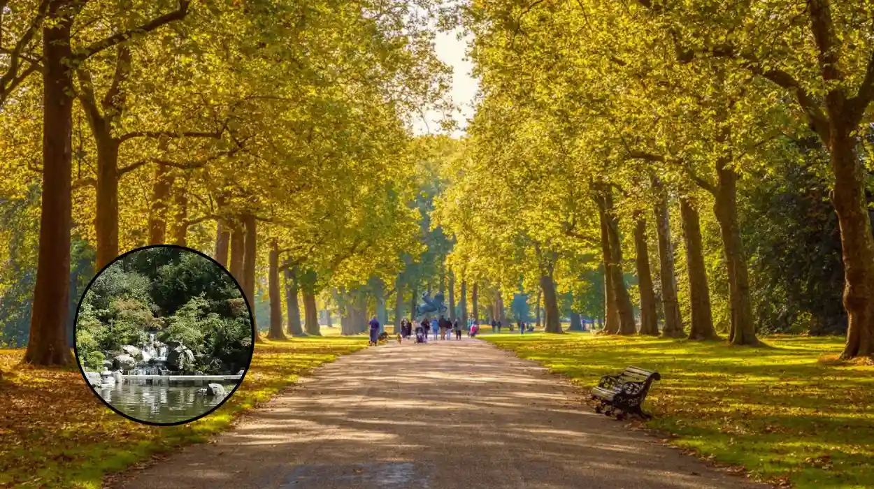 Best Parks in West London: Holland, Richmond & Gunnersbury Guide