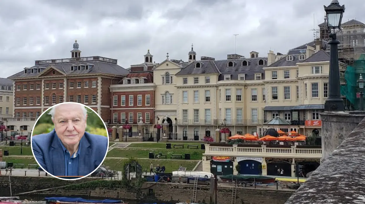 Sir David Attenborough’s Wild London film to screen in Richmond