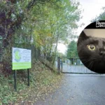 RSPCA warns pet owners after cat is found with pellets in west London