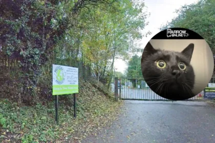 RSPCA warns pet owners after cat is found with pellets in west London