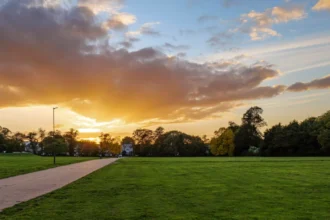 Weekend in Harlesden: 2-Day Food, Culture & Hidden Pubs Itinerary