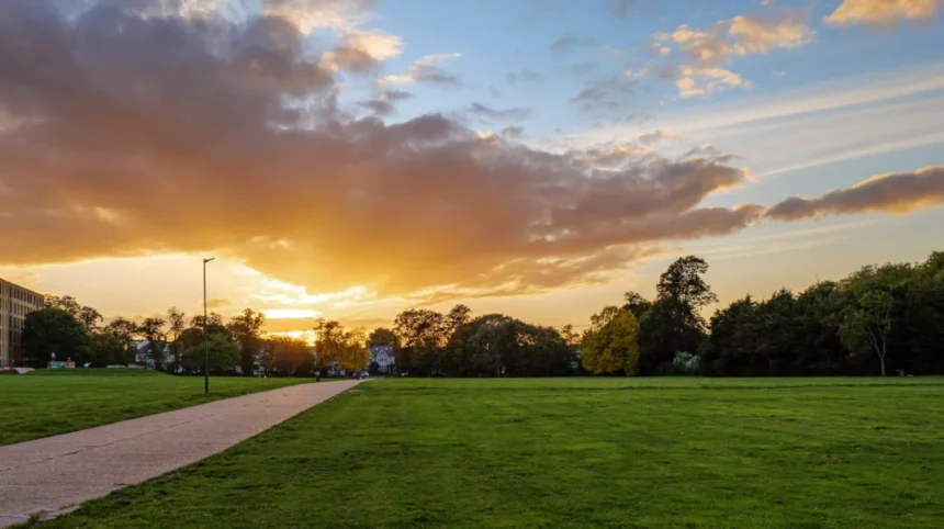 Weekend in Harlesden: 2-Day Food, Culture & Hidden Pubs Itinerary