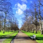 Pet-Friendly Places in West London: Parks, Cafés, Pubs and Walks