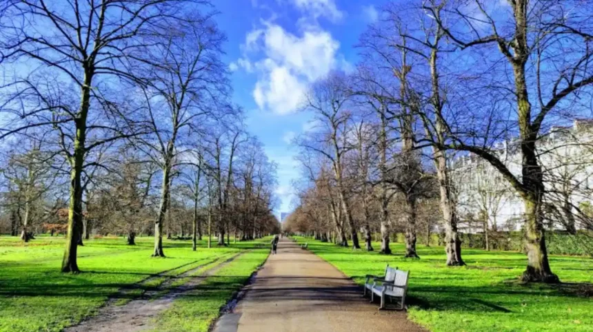 Pet-Friendly Places in West London: Parks, Cafés, Pubs and Walks