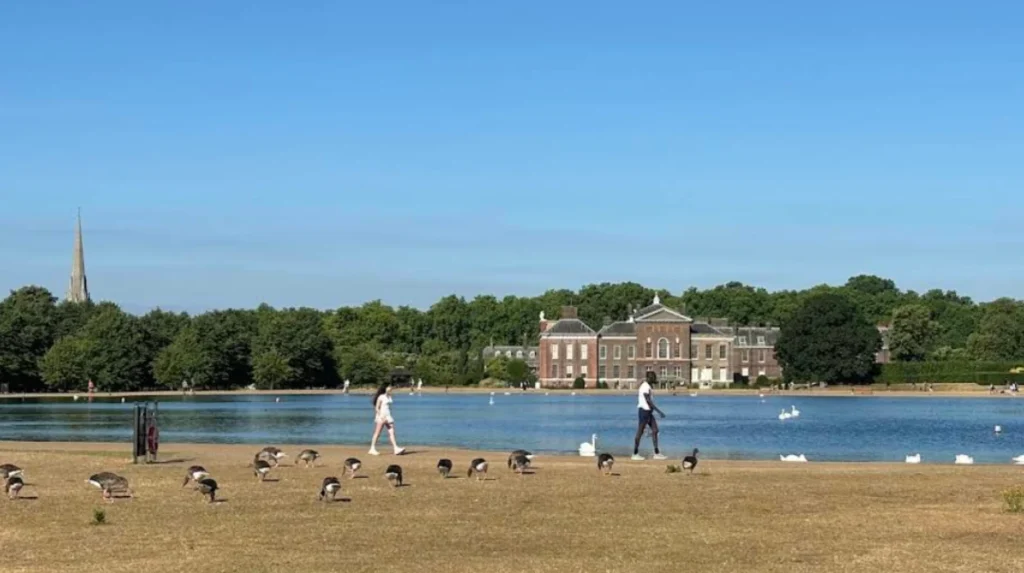 What counts as West London?