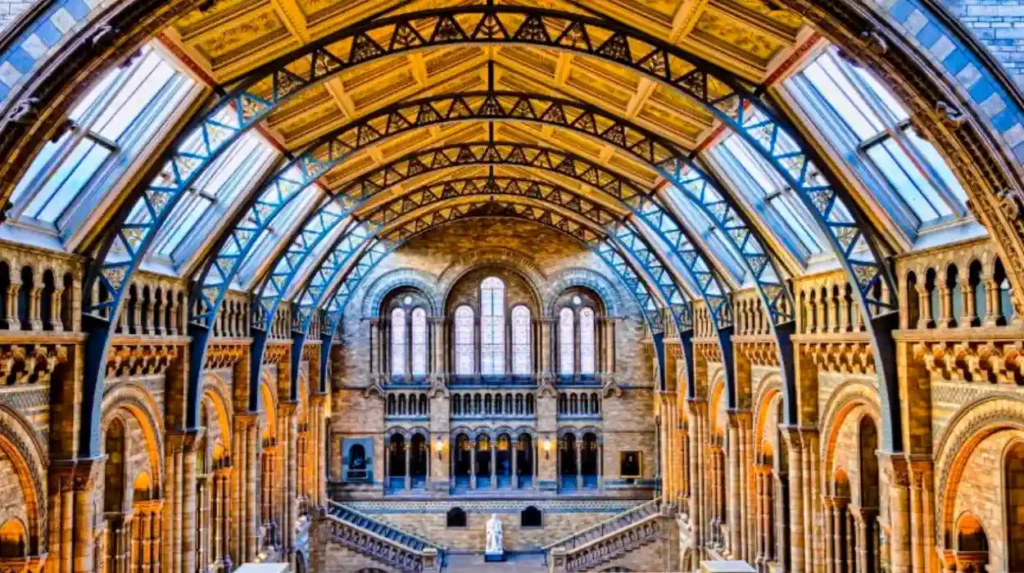 Which museums and cultural spots matter most?
