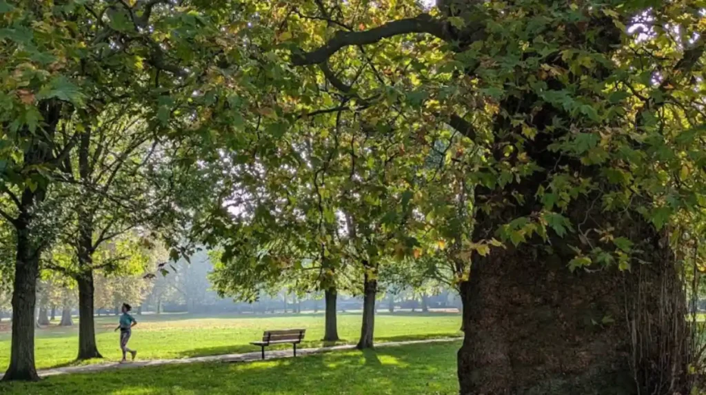 Why do free attractions matter in West London?