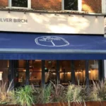 Brook & Green Replaces The Silver Birch in Chiswick 2026