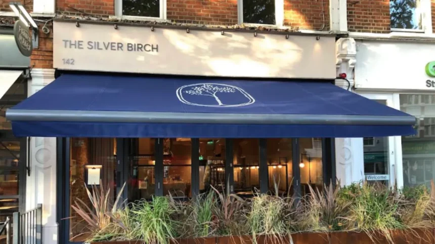 Brook & Green Replaces The Silver Birch in Chiswick 2026