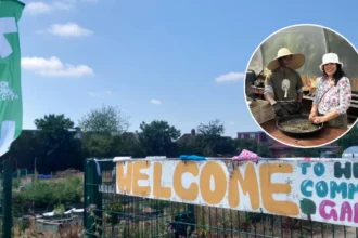 Community Garden Revives Local Nature and Well-being in Hounslow 2026