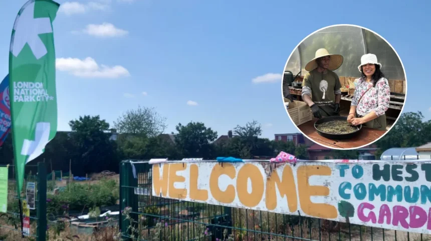 Community Garden Revives Local Nature and Well-being in Hounslow 2026