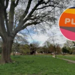 Ealing Walpole Park Theatre Plans Opposed in Ealing 2026
