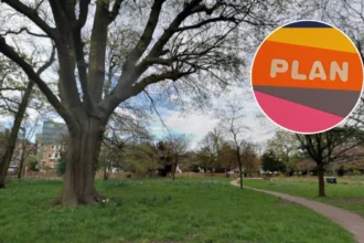 Ealing Walpole Park Theatre Plans Opposed in Ealing 2026