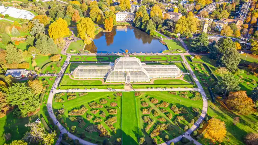 Kew Restaurants_ Best Places to Eat Near Kew Gardens