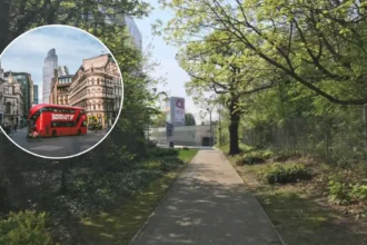 New Publicly Owned London Bus Company Launches in Ealing 2026