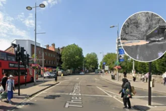 New Sewage Misconnections Pollute River Brent in Ealing 2026