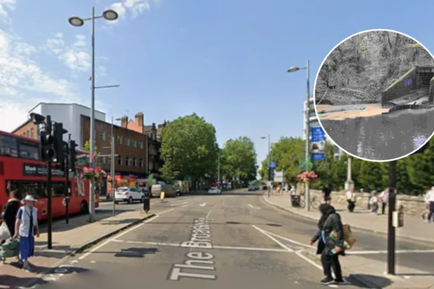 New Sewage Misconnections Pollute River Brent in Ealing 2026