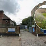 Thames Water Burst Leaves South-West London Dry in Surrey 2026