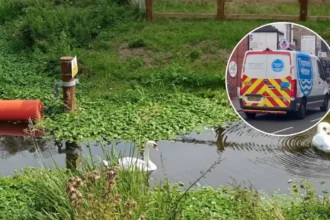 Thousands Reconnected After Major Thames Water Main Burst West London 2026