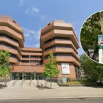 Walpole Park Troubadour Theatre Petition Reaches Ealing Council Ealing 2026