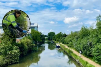 West London Sewage Trial Tackles River Brent Misconnections in 2026