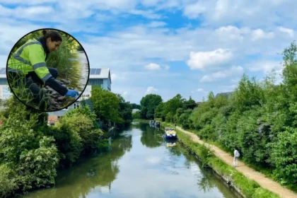 West London Sewage Trial Tackles River Brent Misconnections in 2026