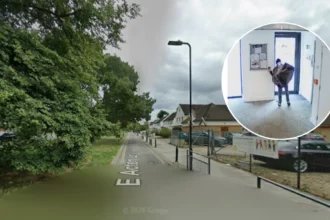 Woman Charged With Burglary After Parcel Theft In East Acton 2026