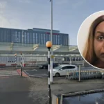 Architect Simone de Gale Convicted Over Heathrow Flight Attack West London 2026