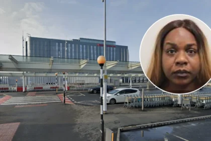 Architect Simone de Gale Convicted Over Heathrow Flight Attack West London 2026