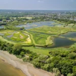 Biodiversity Sites in West London_ Nature Reserves and Wildlife