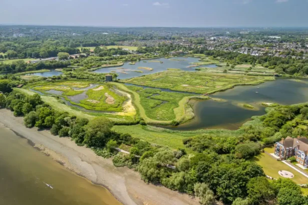 Biodiversity Sites in West London_ Nature Reserves and Wildlife