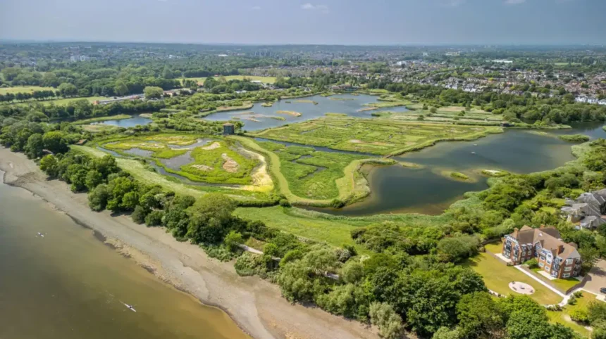 Biodiversity Sites in West London_ Nature Reserves and Wildlife