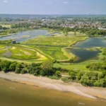 Birdwatching in West London Best Parks and Wetlands