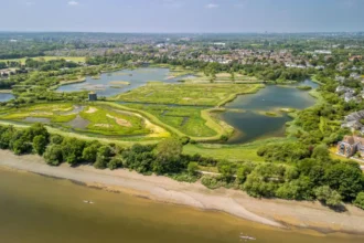 Birdwatching in West London Best Parks and Wetlands