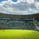 Brentford Players Shine on International Duty October 2026