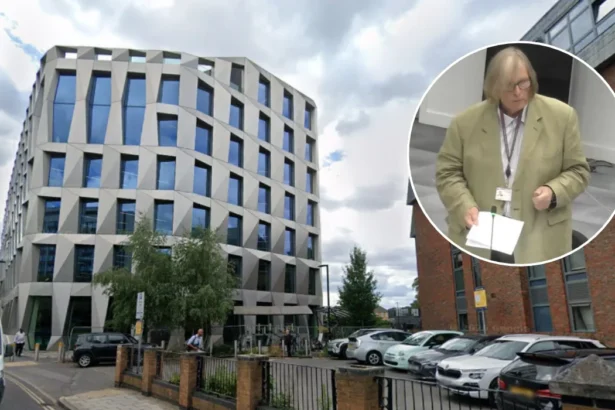 Guy Lambert Suspended from Green Party Group on Hounslow Council 2026