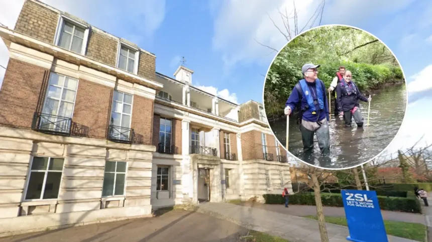How Household Sewage Pollutes London Rivers ZSL Outfall Audit West London 2026