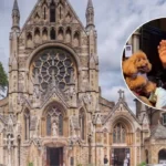 Hundreds of Pets Flock to Church for Blessing in Hammersmith 2026