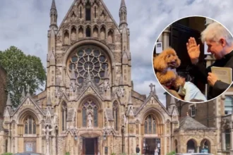 Hundreds of Pets Flock to Church for Blessing in Hammersmith 2026