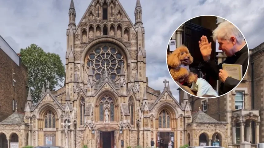 Hundreds of Pets Flock to Church for Blessing in Hammersmith 2026