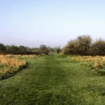 Nature Reserves in West London Wildlife, Walks and Green Spaces