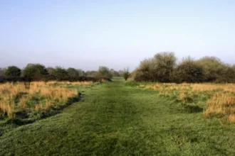 Nature Reserves in West London Wildlife, Walks and Green Spaces