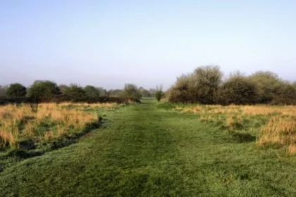 Nature Reserves in West London Wildlife, Walks and Green Spaces