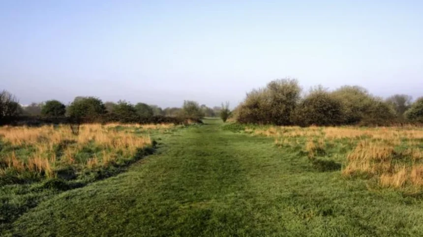 Nature Reserves in West London Wildlife, Walks and Green Spaces
