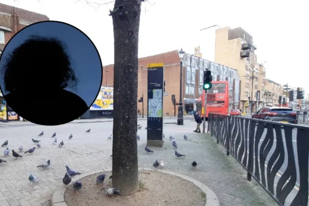 Pensioner Trapped by Threatening Neighbours in Hounslow 2026