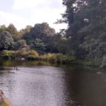 Rivers and Streams of West London_ A Complete Guide