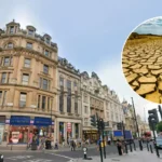 Severe Drought Declared Across Southern England After Driest Period 2026