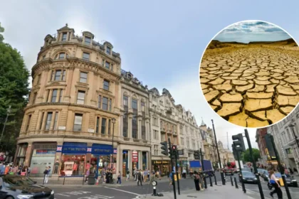 Severe Drought Declared Across Southern England After Driest Period 2026