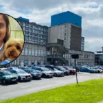 Therapy Dog Tilly Begins Visiting NHS Patients At Ealing Hospital 2026