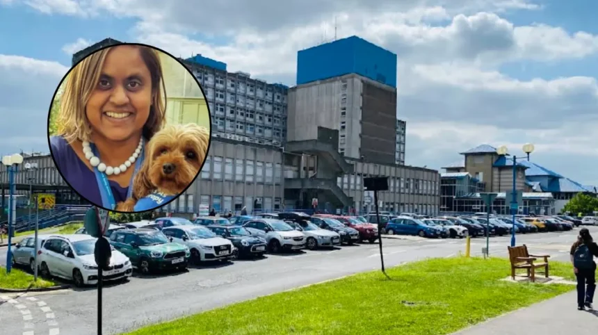 Therapy Dog Tilly Begins Visiting NHS Patients At Ealing Hospital 2026